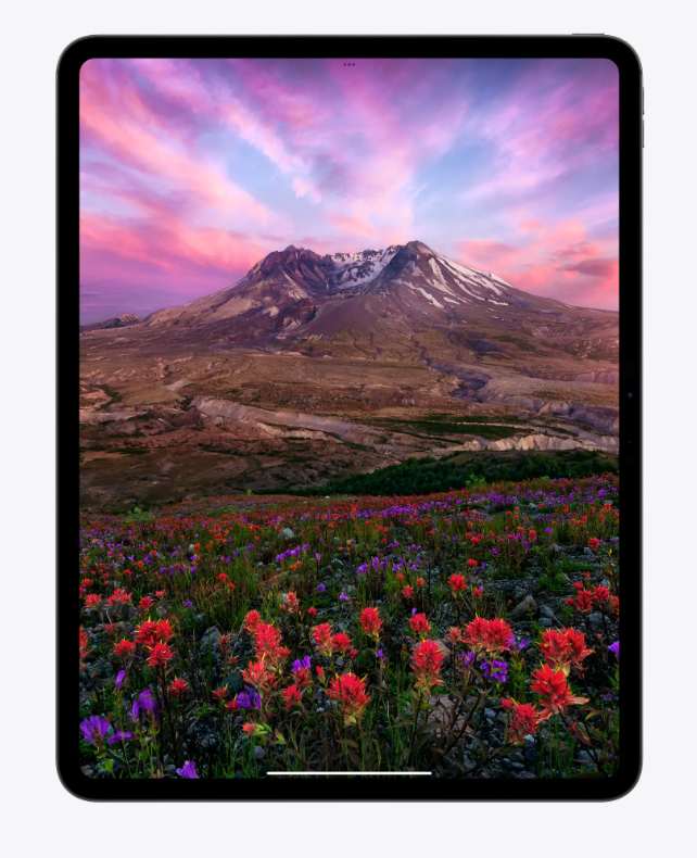 Apple iPad Pro 11 inch (M4) WiFi 256GB , Apple Care + 2027.