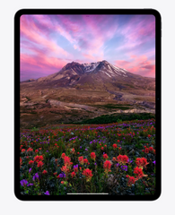 Apple iPad Pro 11 inch (M4) WiFi 256GB , Apple Care + 2027.